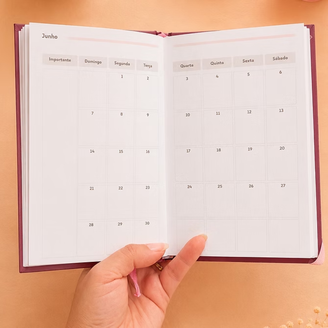 Planner Slim